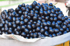 jamun