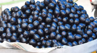 jamun