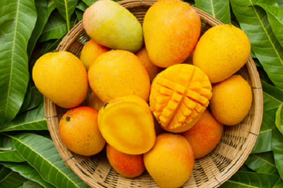 mango