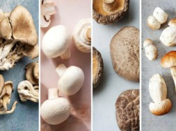 mashroom