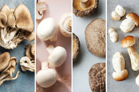 mashroom