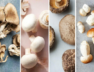 mashroom