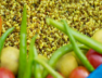 mung daal
