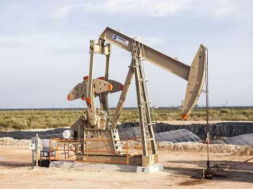 oil