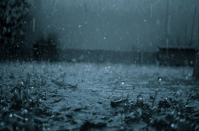 rain