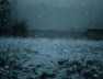 rain