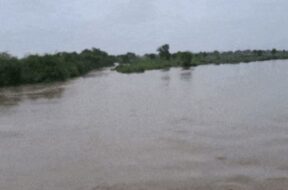 river, Amreli