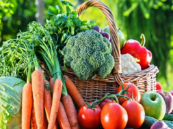 vegitables