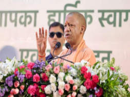 yogi gov