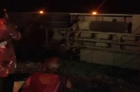 Accident, dhandhuka
