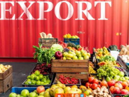 Export
