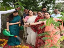 Gandhinagar, plantation