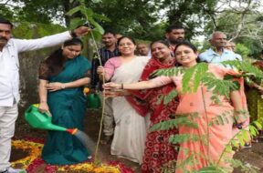 Gandhinagar, plantation