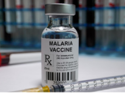 MALARIA VACCINE