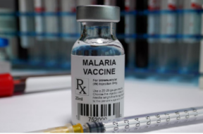 MALARIA VACCINE