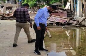 Mosquitoes at builder site , ahmedabad