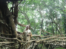 NIRMALA SITARAMAN