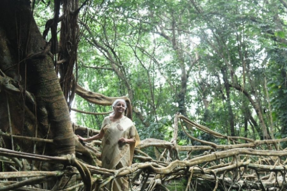 NIRMALA SITARAMAN
