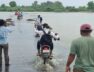 Vastadi village, bhadar river diversion