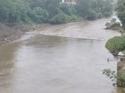 Vishwamitri river, Baroda