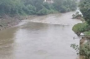 Vishwamitri river, Baroda