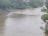 Vishwamitri river, Baroda