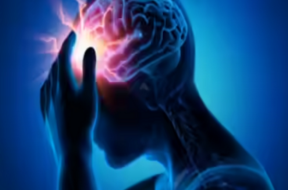 brain hamrej