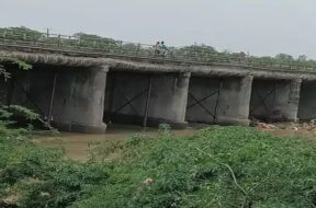 bridge, surendranagar