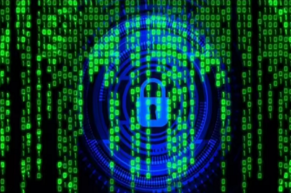 cyber