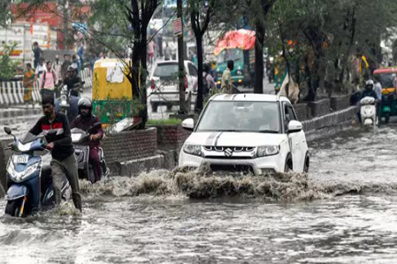 delhi