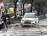 delhi