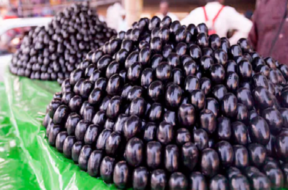 jambu