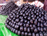 jambu