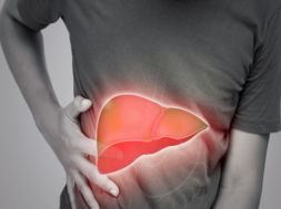 liver