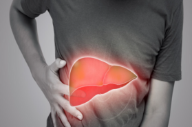 liver