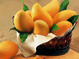 mango