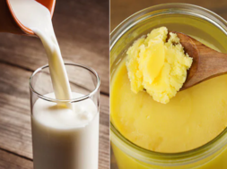 milk ghee