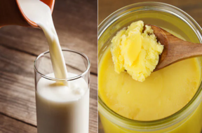 milk ghee