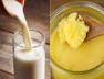 milk ghee