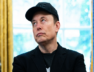 musk