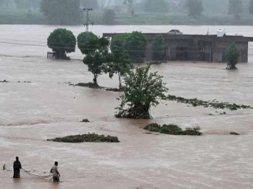 pakistan punjab