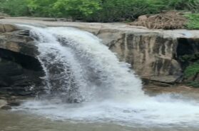 paliyari Dhodh,