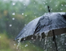 rain