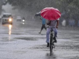 rain