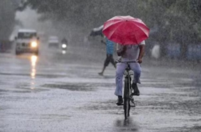 rain