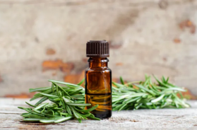 rosemarry oil