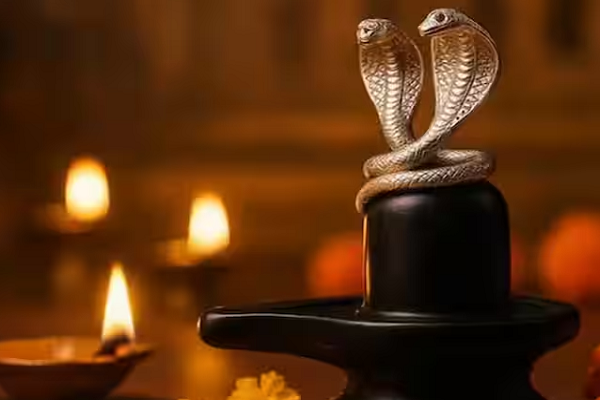 શિવલિંગ પર ચાંદીના સાપની જોડી ચઢાવવાથી શું થાય છે, જાણો તેના ફાયદા
