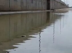 Mahuva highway, water on the service road