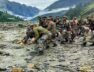 Uttarakhand disaster