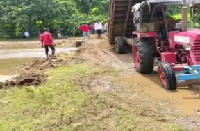 Villagers buile a bridge over yhe river